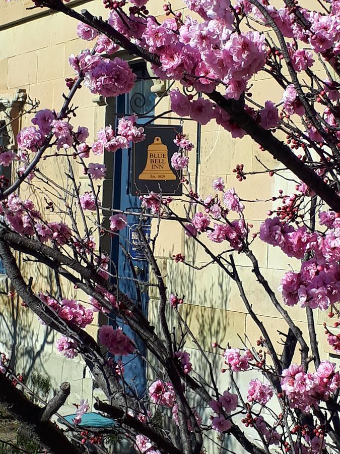 Blue Bell Inn Sorell ภายนอก รูปภาพ